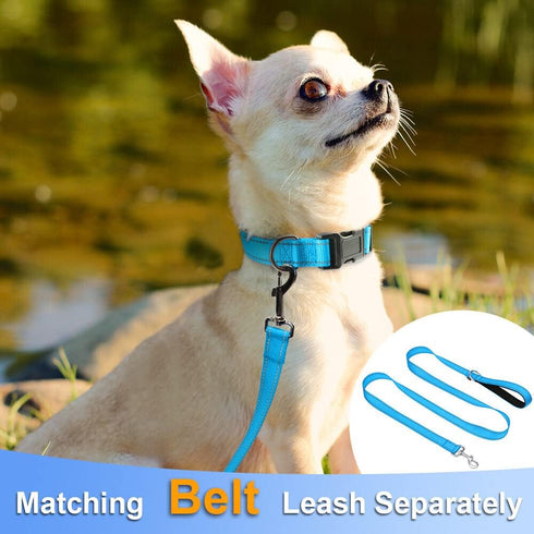 Taglory Reflective Adjustable Dog Collars for Small, Medium, Large Dogs - Aqua Blue, XSmall, Thin Nylon Webbing