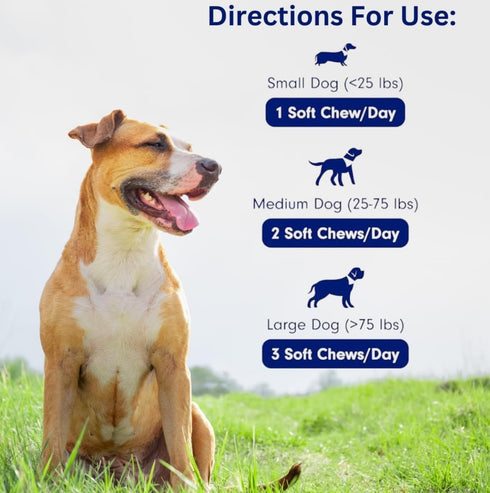 Immune Immunity, 90 Turkey Tail Mushroom for Dogs - Organic Support Chews - Buddy Health Guard Mushroom Blend - Boosts