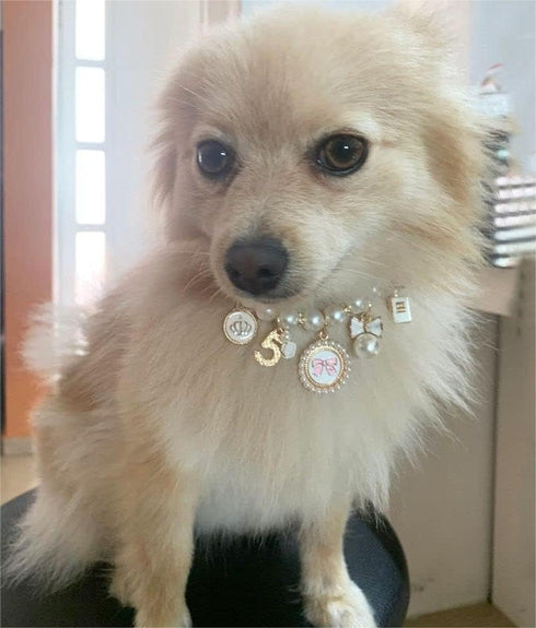 Dog Pearl Collars, Princess Bow Necklace Pet Pearl Necklace, Cute Collar for Dog Cat, Neck Strap for Puppy Accessories