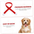 Christmas Pet Scarf, Mini Christmas Scarf for Wine Bottle Decorations, Pack of 10