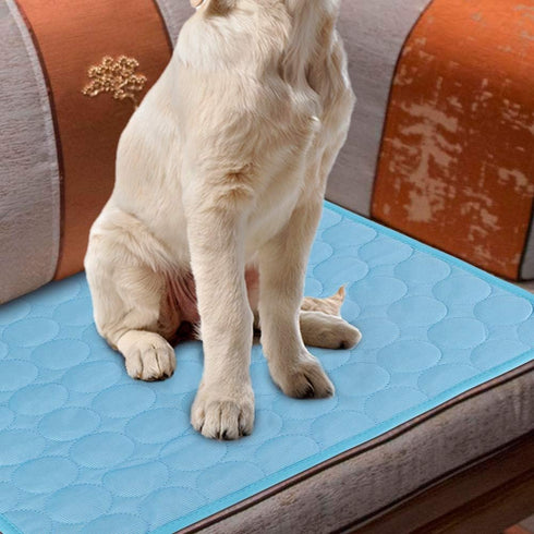HEEPDD Dog Cooling Mat, Pet Ice Cool Bed, Self Cooling Pillow for Cats Dogs, Cages (L)