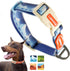 LaRoo Waterproof Dog Collar, Heavy Duty PVC Pet Collars for Training, Cool Design for Outdoor Playing