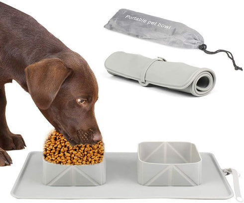 Portable Pet Double Bowl with Carry Case, Foldable Anti-Overflow Silicone Feeding Bowl for Cat or Dog