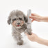 DC5V 1A 2 1 IPX7 Trimmer Tyenaza Pet Electric Hair Clipper, in Low Noise Waterproofs USB Charging Dog Cat Grooming
