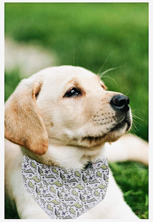 ARING PET Dinosaur Dog Bandanas - Summer Kerchief Triangle Bibs Scarf for Puppy Small Medium Large Dogs, Size S