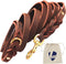 Braided Leather Dog Leash 10 Foot - Full Grain Heavy Duty for Large Medium Small Dogs, 10 Ft Soft Leather Lead