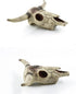 Leoyoubei Aquarium Decoration, Small Skull for Fish Tank, Fish Turtle Hidden Cave Landscape Pet Reptile House (Cattle