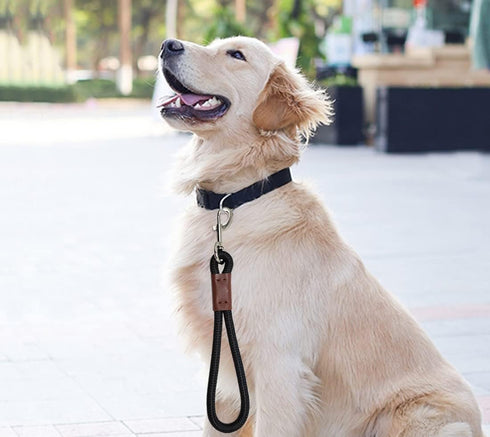 Short Dog Leash, 12 Inch Rope Traffic Handle Leash, 1/2" Strong Nylon Training Tab for Medium/Large/Ex-Large Dogs, Red