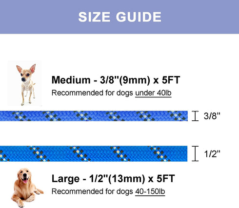 5 FT Slip Lead Dog Leash, Heavy Duty Rope for Small Medium Large Dogs, No Pull Training Lead, Blue Stripe, Medium