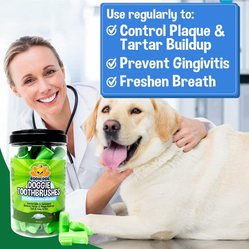 (50 Count) Bodhi Dog Finger Toothbrush for Dogs & Cats - Puppy Toothbrush with Soft Flexible Silicone Bristles, Gentle