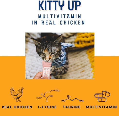 Lickable Cat Treat Pouches for Indoor Cats - All Natural Chicken Puree Tube Treats, 12 Tubes .05 oz ea.