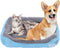 Waterproof Dog Bed for Small Dogs, Cooling Pet Bed for Indoor Outdoor, Washable for Camping, Blue