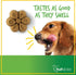 Fruitables Baked Dog Treats, Pumpkin Treats for Dogs, Healthy Low Calorie, Free of Wheat, Corn and Soy, 7 Ounces