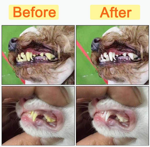 Zeyaa 10 Pack 2 3 5 Pack Pet Dog Toothbrush, Triple Head Pet Toothbrushes Double Head Tooth Brush Finger Rubber