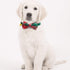 KUDES 2 Pack Christmas Snowflake Dog Collars, Breakaway with Bow Tie and Bells for Pets, Red & Green