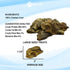 Max and Neo Freeze Dried Chicken Liver Dog Treats - Single Ingredient, Human Grade Chicken, USA Grown