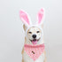 Bandana-1PC Dog Rabbit Print Dog Bandanas Easter Bandanas Holiday Bandanas Spring Bandanas Bibs Scarf Square Pink Soft