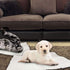 Self Heating Pet Pads, Pet Blanket for Cat/Dog, Self Warming Cushion Mat for Cats Dogs, Ecological Thermal Mat Blanket