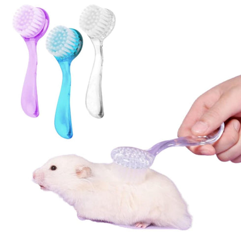 3PC Small Animal Bath Brush with Lid Soft Cleansing Brush Massage Combs