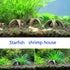 (Pack 5)) Aquarium Fish Shrimp Tube Cubes Star Clay Shelters Hiding and BREEDING CAVE (Shrimp Stars