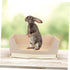 Pet Potty Bowl Large Litter Tray for Bunnies Compact Portable Critter Toilet Box Lightweight Design for Guinea Pigs