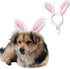 ANIAC Easter Dog Headband for Small Medium Dogs, Plush Hat with Bunny Ears, Cute Pet Easter Costume