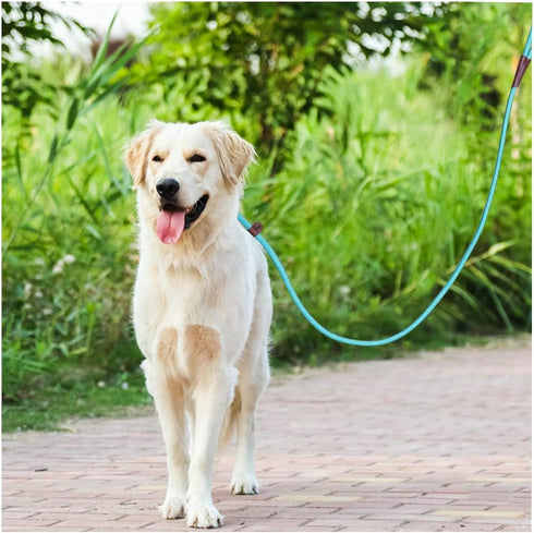 MayPaw Dog Leash Rope Slip Lead | 1/4"-5Ft Sturdy Nylon Puppy Leash | Colorful Adjustable Training Leash for Small Dogs