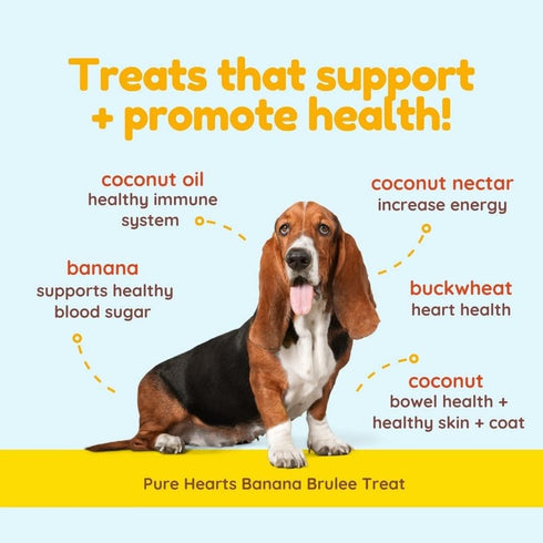 CocoTherapy 3 Pack of Banana Brulee Pure Hearts Coconut Cookies, 5 Ounces Each, Organic Dog Treats Made in USA