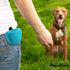 RoyalCare Silicone Dog Treat Pouch - Small Training Bag with Magnetic Closure and Waist Clip, 2 Pieces