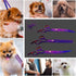 LILYS PET Professional Dog Grooming Coated Titanium Scissors Set - Cutting, Curved & Thinning Shears (8.0 inches,