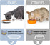 Cat Food Bowl,Healthier Cat Ceramic Bowls for Feeding Indoor Cats with Anti Whisker Fatigue Design,Nonslip Silicone Bottom, Wide Kitten Plates for Food and Water Pack of 3 (Fihsbone)