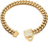 Gold Dog Chain Collar, 10mm Wide Cuban Link Puppy Collar with CZ Diamond Lock for Medium Dogs (14inch)