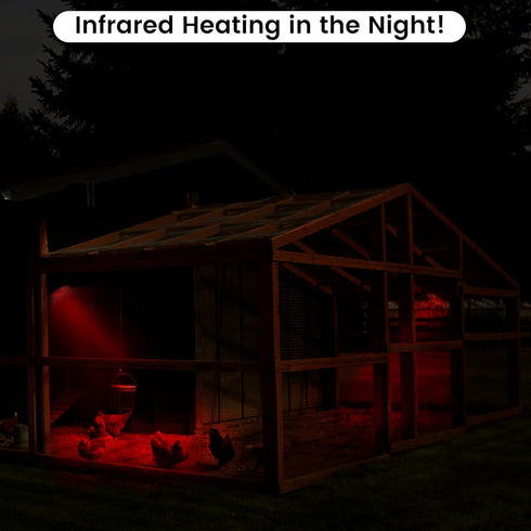 Bulb 150 Heat Lamp for Chickens Coop Brooder and Reptile Heat Watt Infrared Red Light