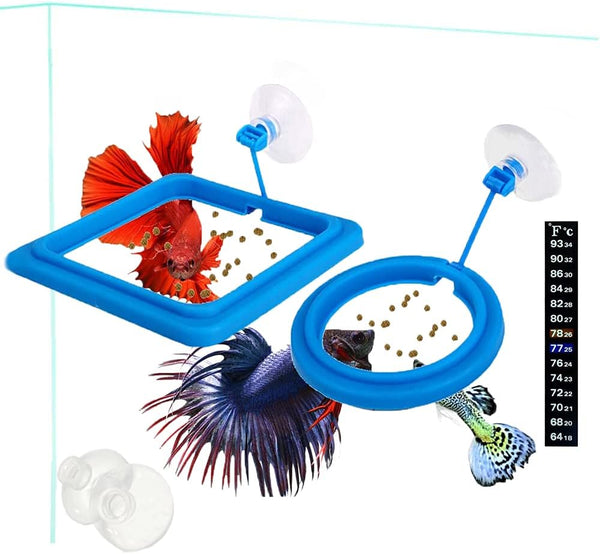 2 Pcs Fish Feeding Ring, Blue Floating Food Feeder Circle with Suction Cup for Aquarium, for Guppy, Betta, Goldfish