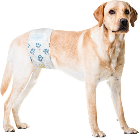 Male Wraps, Disposable Dog Diapers, Carbon, 1-Tab Large, 72 Count - Activated