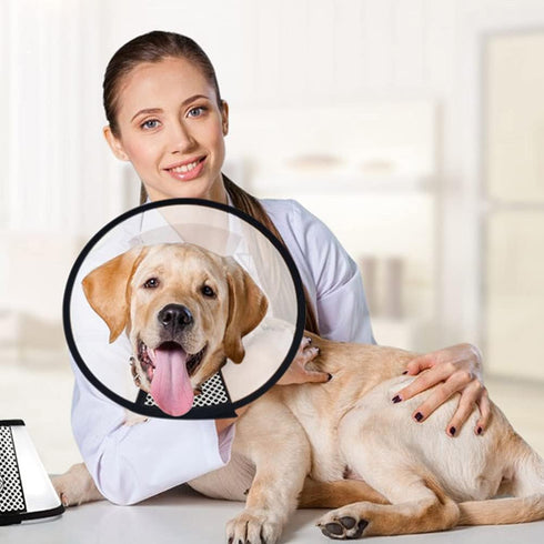 Adjustable Plastic Pet Recovery Collars & Cones for Dogs and Cats After Surgery, Elizabeth E-Collar to Prevent Biting