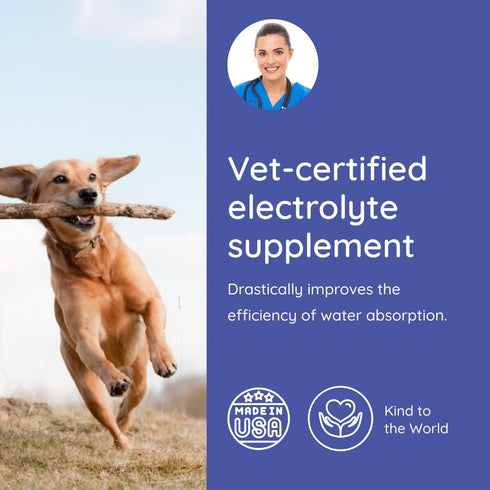 Dog Electrolytes and Joint Supplement, Glucosamine, Chondroitin & MSM for Inflammation and Mobility Support