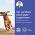 Dog Electrolytes and Joint Supplement, Glucosamine, Chondroitin & MSM for Inflammation and Mobility Support