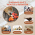Lobster Dog Toy, Large Squeaky Toys, Tug of War Toy for Large Dogs, Interactive Plush Toy for Puppies and Dogs
