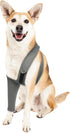 ROZKITCH Dog Surgery Recovery Sleeve - Front Leg Elbow Brace Protector, Cone Collar Alternative for Joint Care (Grey S)