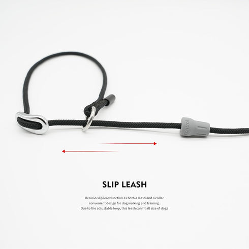 Dog Leash, Strong Lightweight Pet Training Leash for Small, Medium, or Large Dogs, Slip Leads (Black, 4ft)