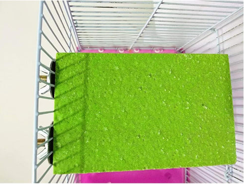 Litewoo Bird Perch Grinding Stand for Parrot Budgie Cockatiel Conure Lovebird Finch (5.1" x 3.5")