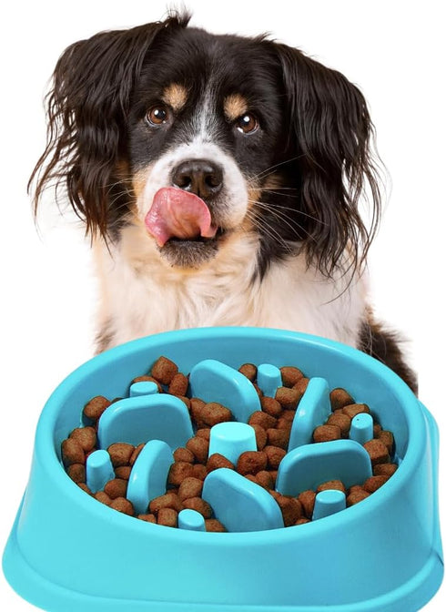 Non-Slip Slow Feeder Dog Bowl, Anti-Choke Design for Healthier Eating Habits