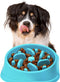 Non-Slip Slow Feeder Dog Bowl, Anti-Choke Design for Healthier Eating Habits