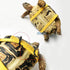 Leather Harness Strap for Tortoise/Turtle Pet Walking Lead Control Rope, Chest Collar (M)