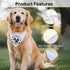 WHTYEFZ Soon to Be A Big Brother White Dog Bandana, Pregnancy Announcement for Couple, Funny Puppy Scarf Accessory