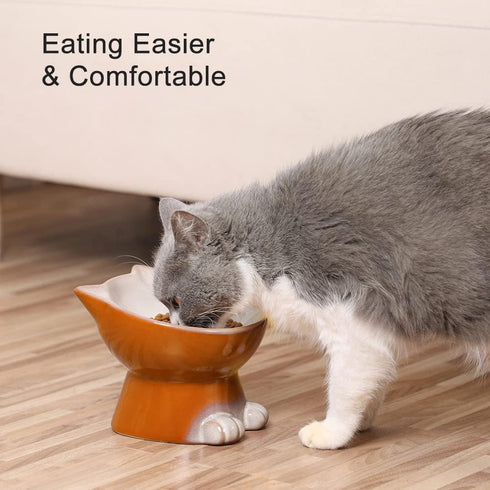 Elevated Cat/Dog Bowls - 6.25 Inch Ceramic Raised Food & Water Bowl Set for Protecting Pet's Spine - Feeding Supplies