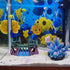 Eco-Friendly Resin Castle Aquarium Ornament - Fish Tank Supplies Accessories, Mythical Magic Castle Decoration