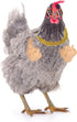 Funny Chicken Arms Toy - Chicken Peepers and Necklace Set for Pet Prank Role-Playing Costumes