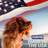 Davis SCS12 Pet Shampoo, Sugar Cookie Scent, 12 oz